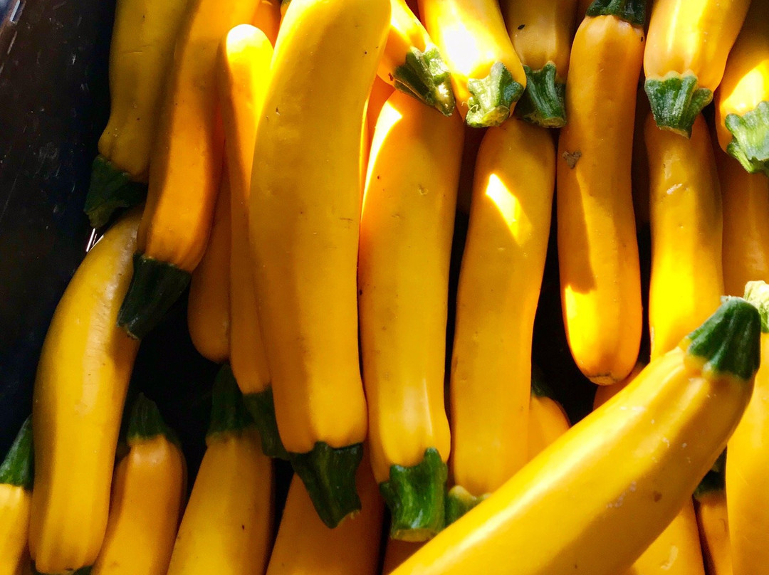 Laguna Niguel Farmer’s Market-拉古纳尼格必去景点