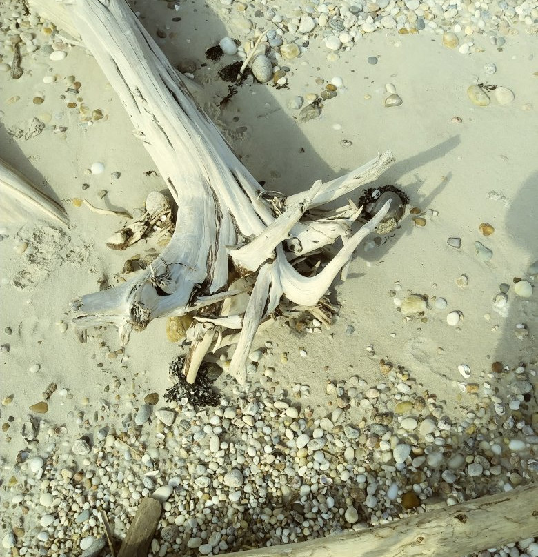 Orient Beach State Park-Orient必去景点