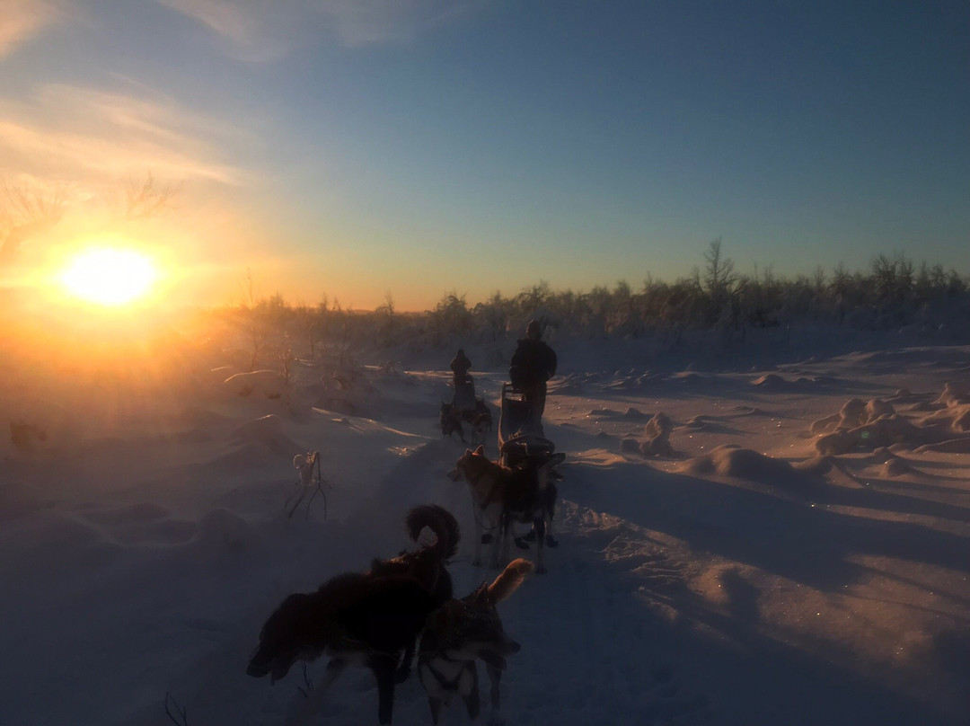 Petter Karlsson Sleddogs景点图片