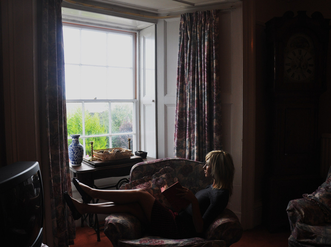 Llys Llewelyn Guest House主图