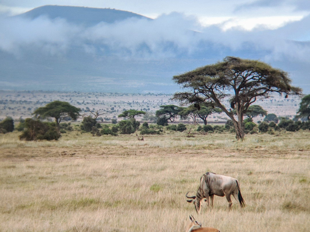 肯尼亚自然世界之旅景点图片