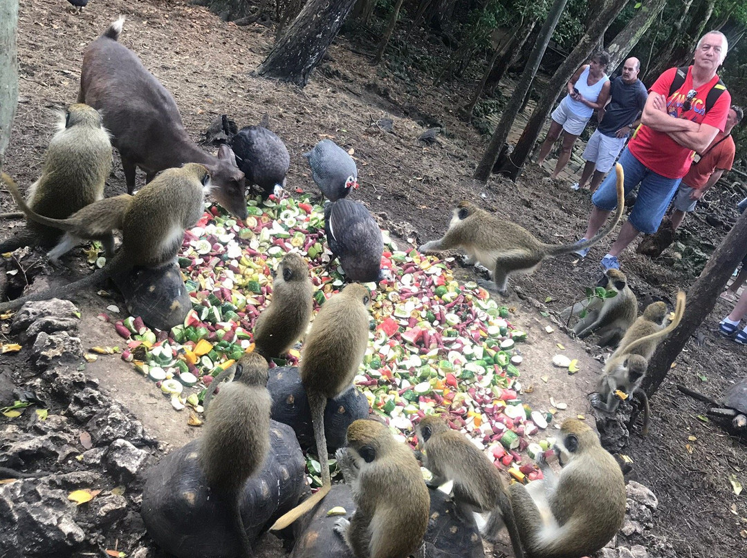 SunTours Barbados-Saint George Parish必去景点