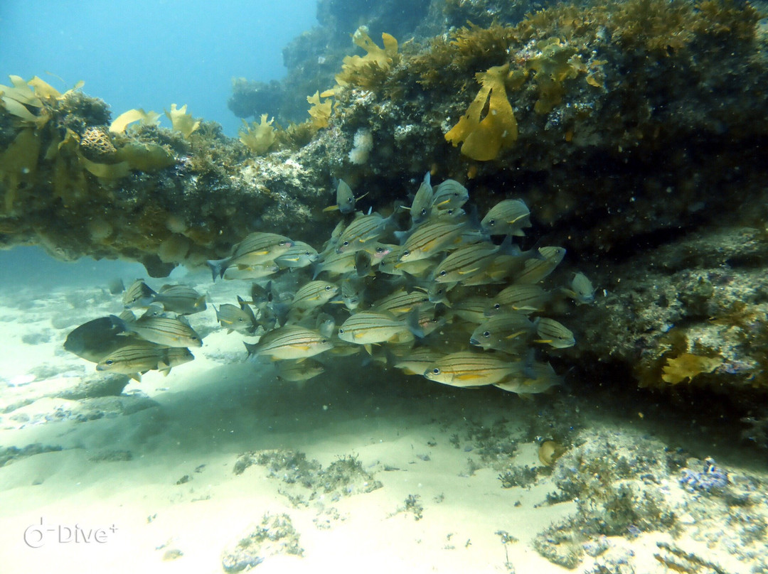 African Watersports-Umkomaas必去景点
