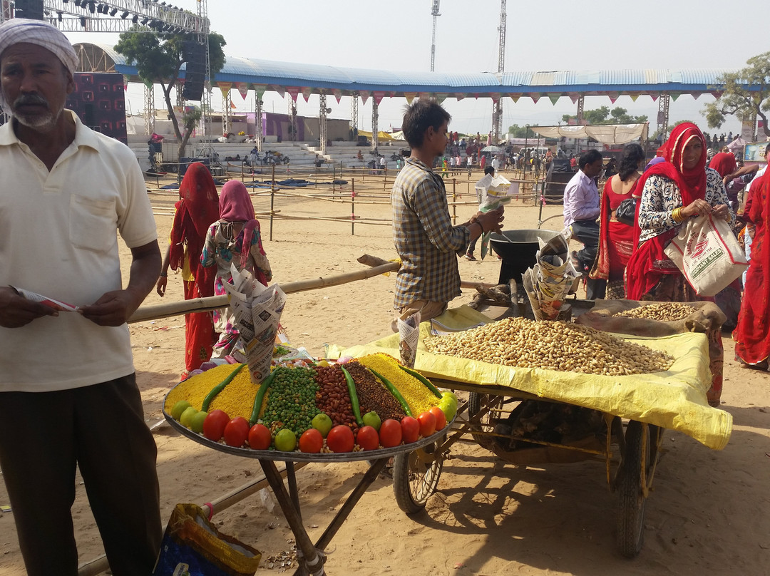 Pushkar Camel Fair景点图片