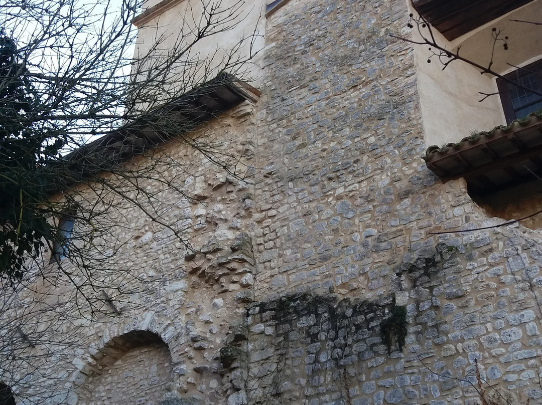 Basilica di San Pietro景点图片