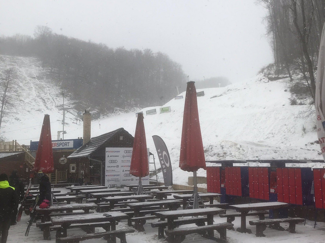 Intersport Ski Arena Eplény, Bike Arena景点图片