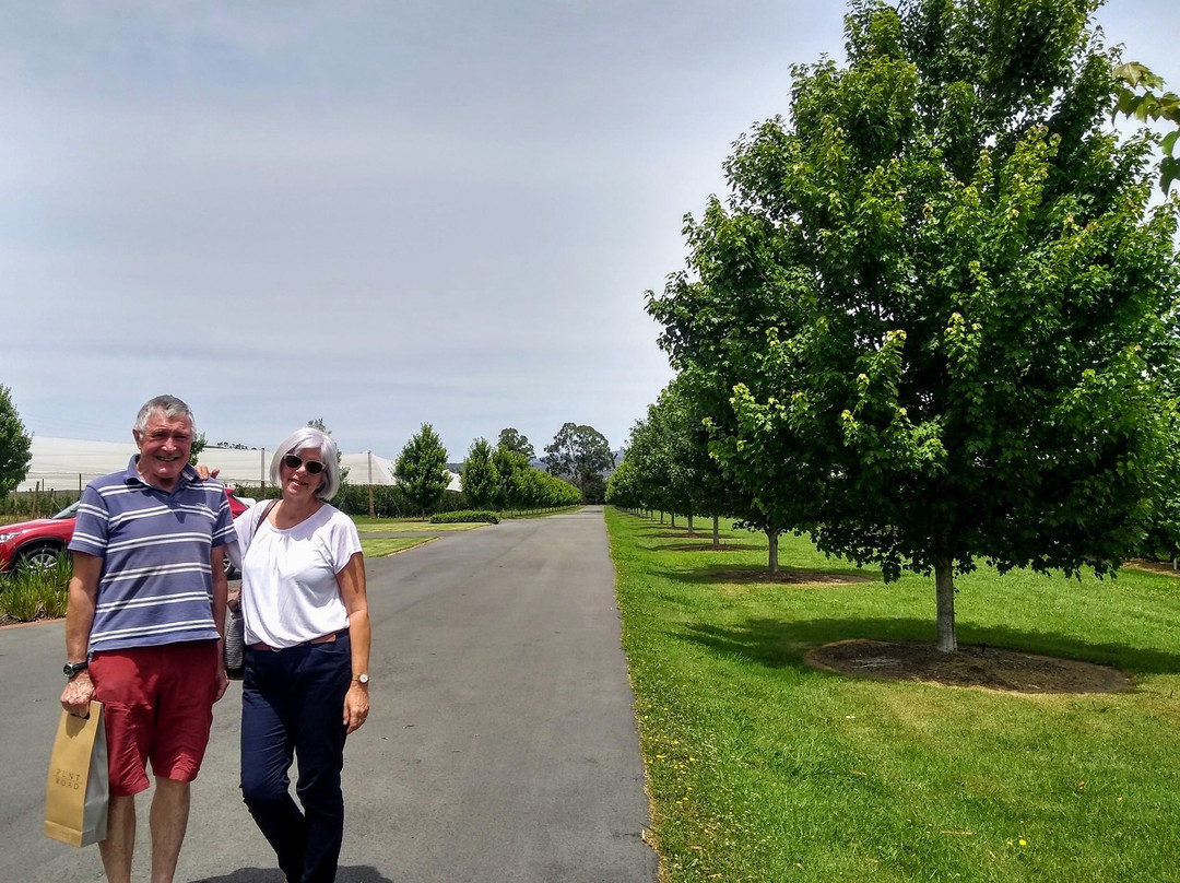 Punt Road Wines-科尔德斯特里姆必去景点