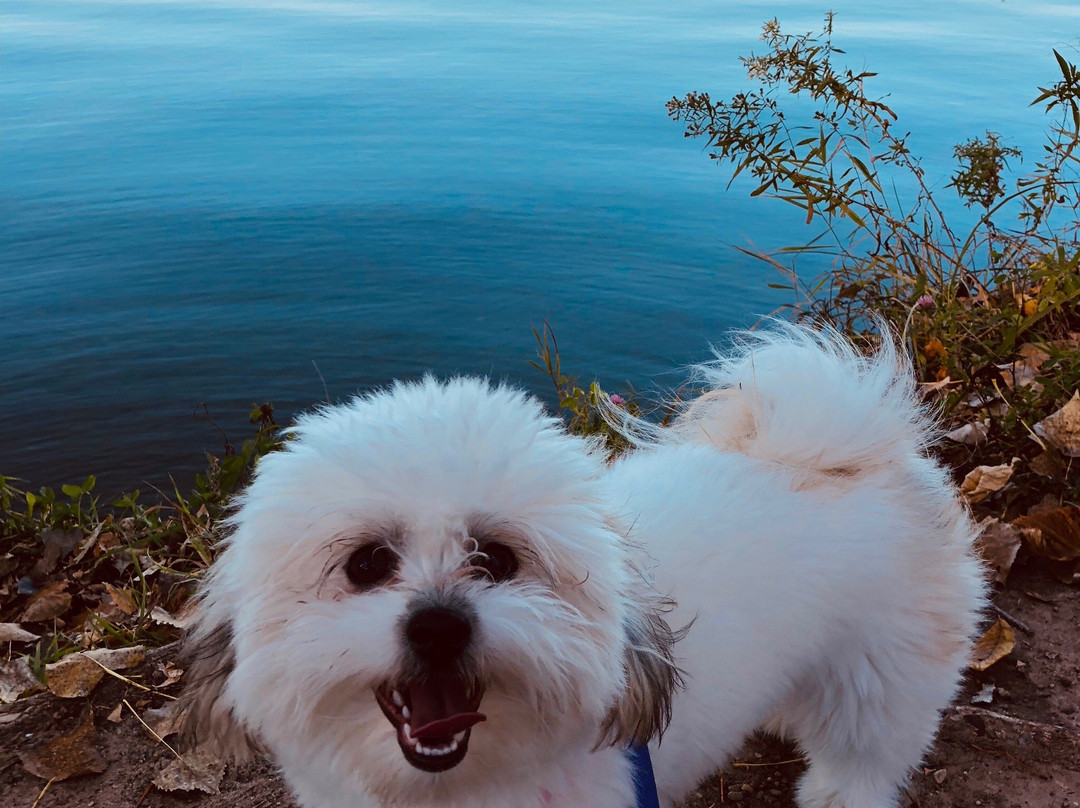 Rice Creek Chain of Lakes Park Reserve-Lino Lakes必去景点