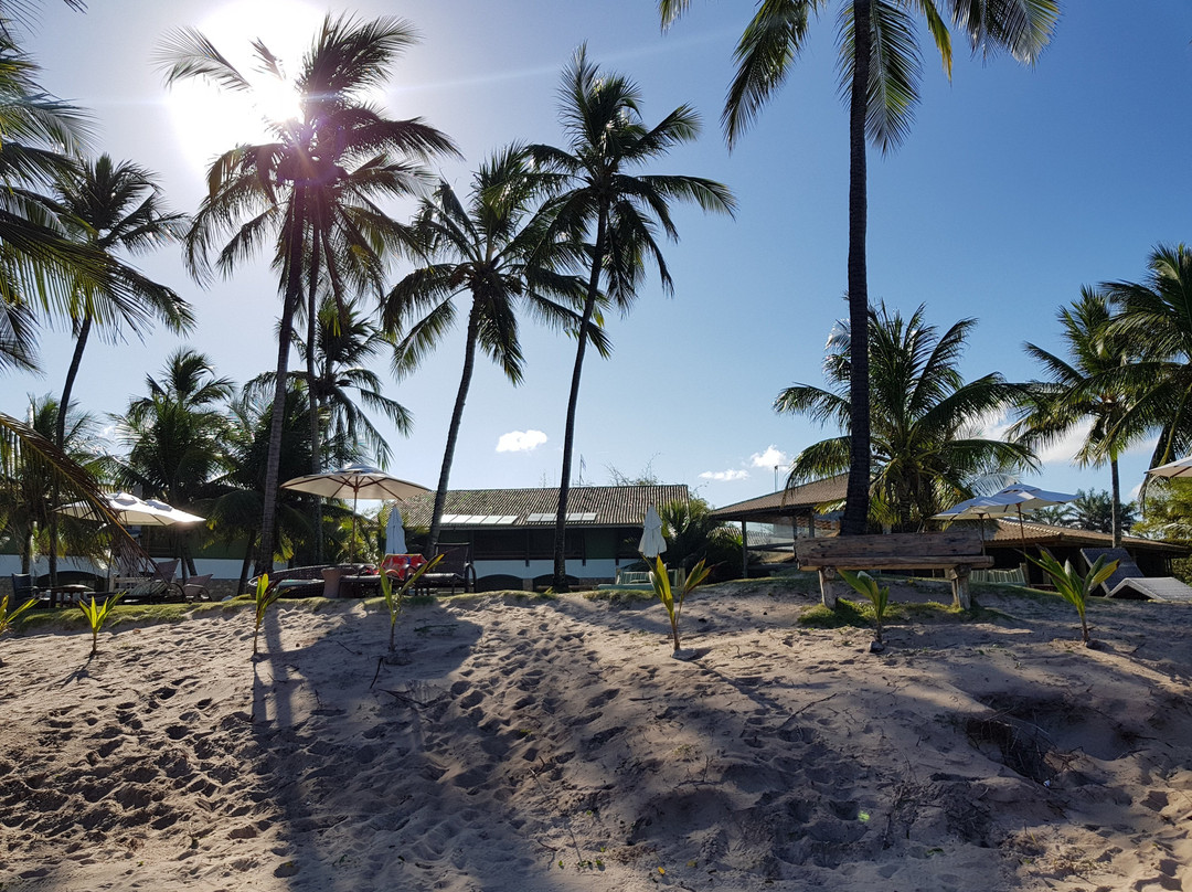 Pousada Taipu de Fora主图