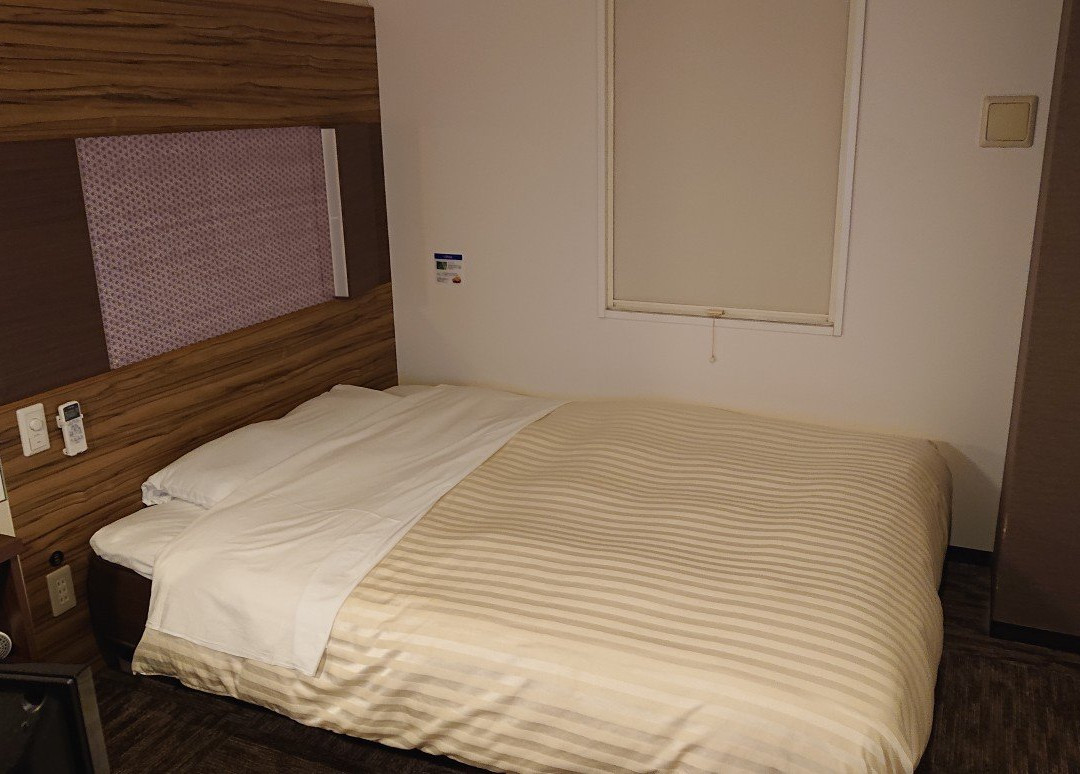 Super Hotel Kochi-Tennenonsen主图
