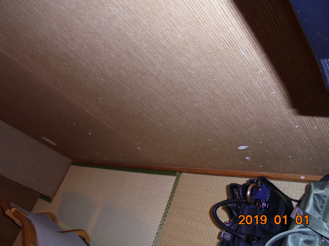 罗蕾莱酒店主图