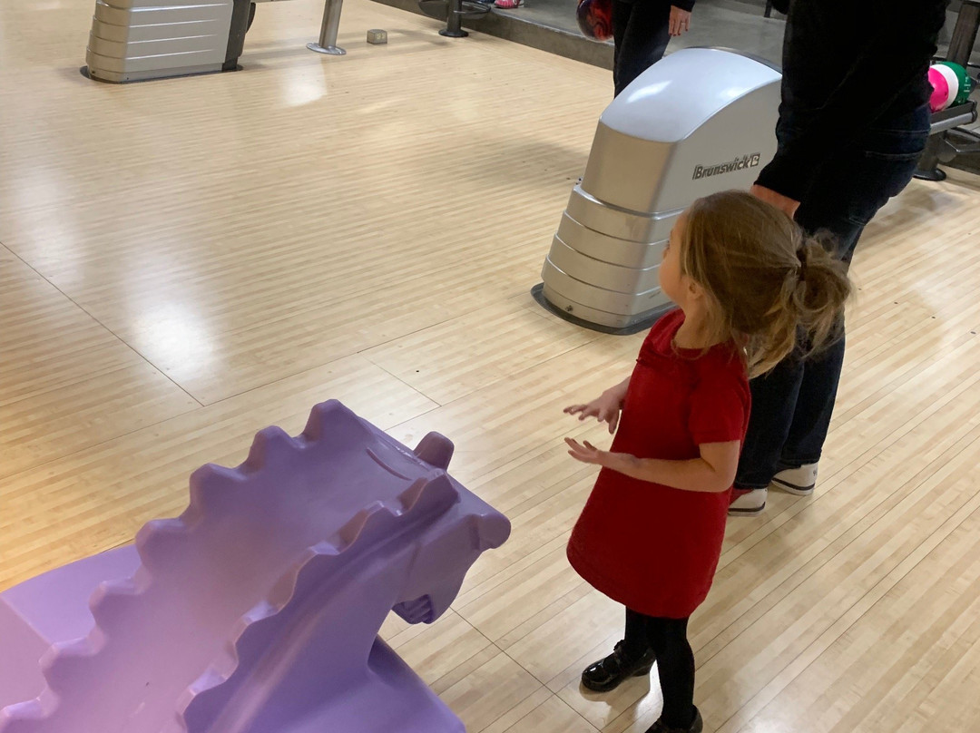 48 Bowl - Hollywood Bowl-林肯必去景点