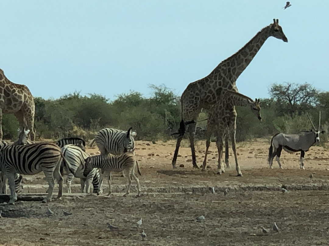 Hochland旅游攻略图片