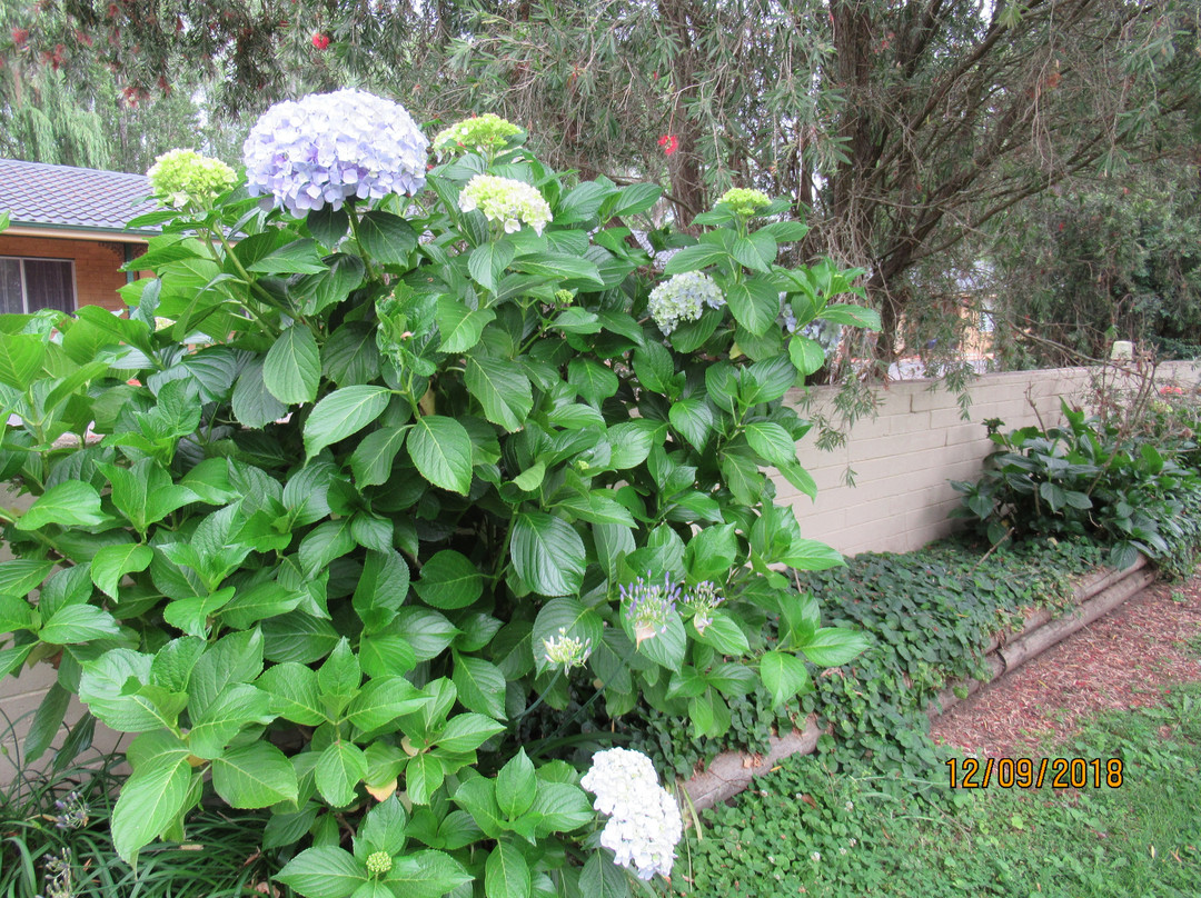 莫鲁亚汽车旅馆主图