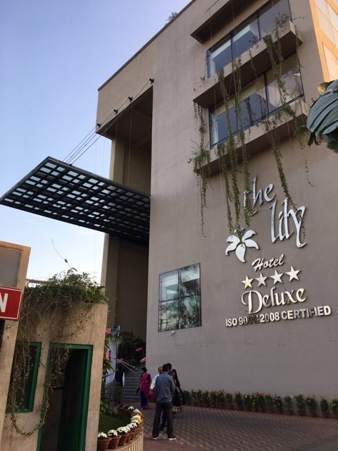 The Lily Hotel主图