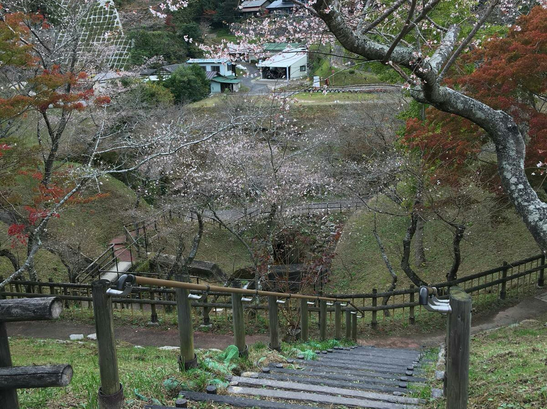 Obara Fureai Park / Shikizakura-丰田市必去景点