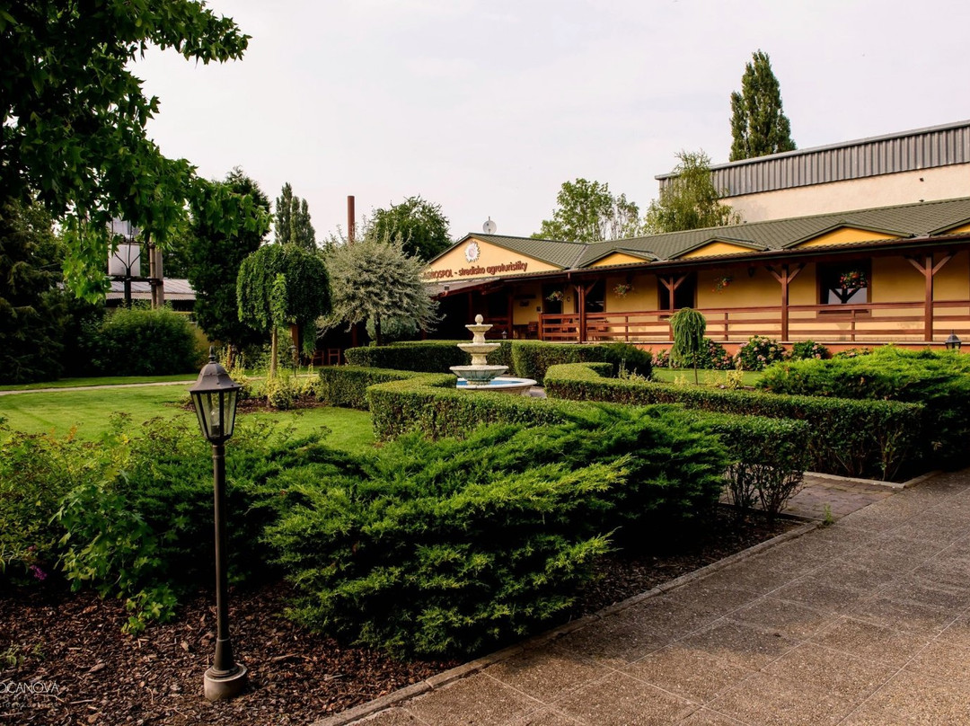 Michalovce酒店住宿-Hotel Slnecny Dvor