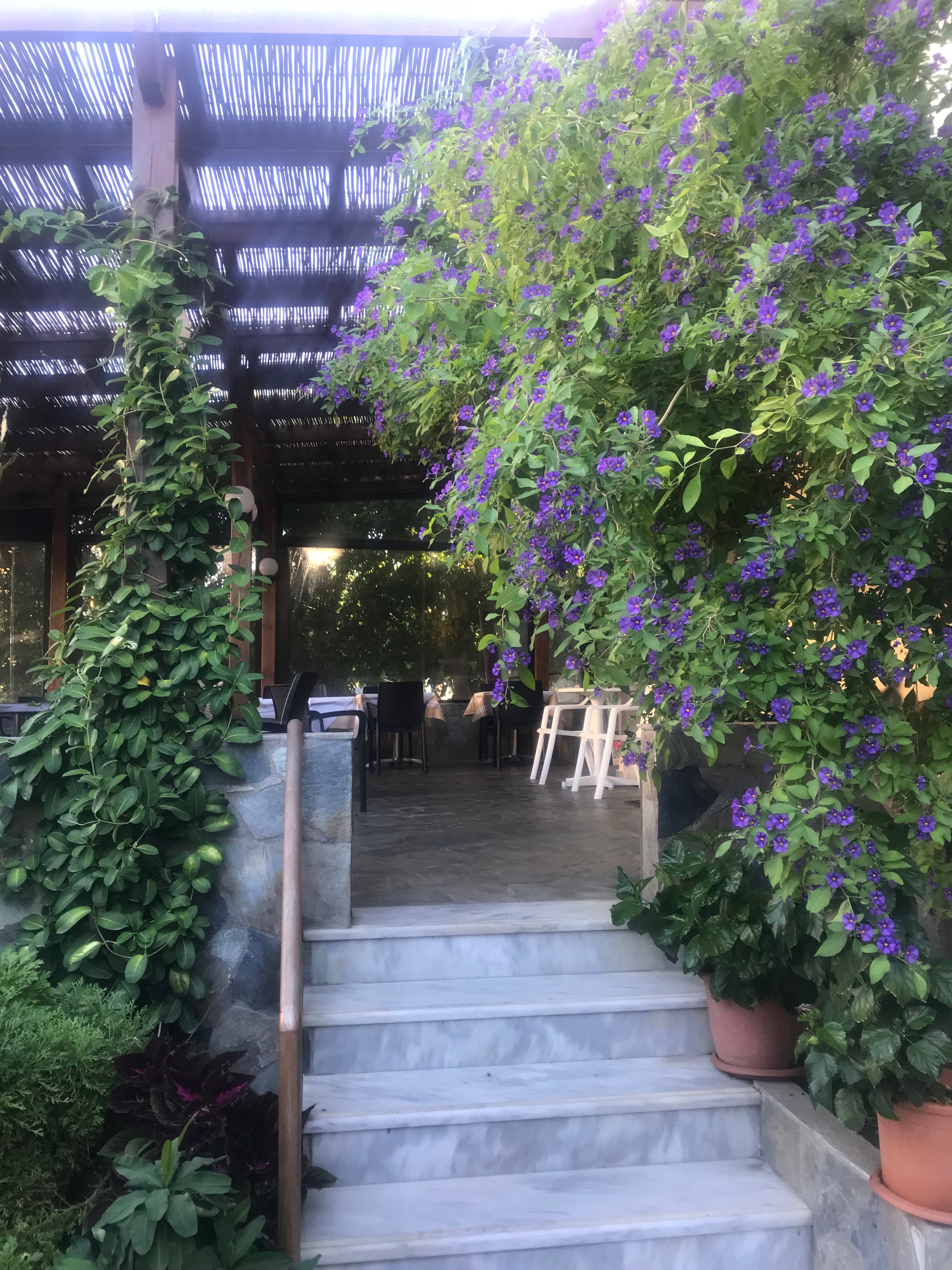 Hotel Glaros-餐饮