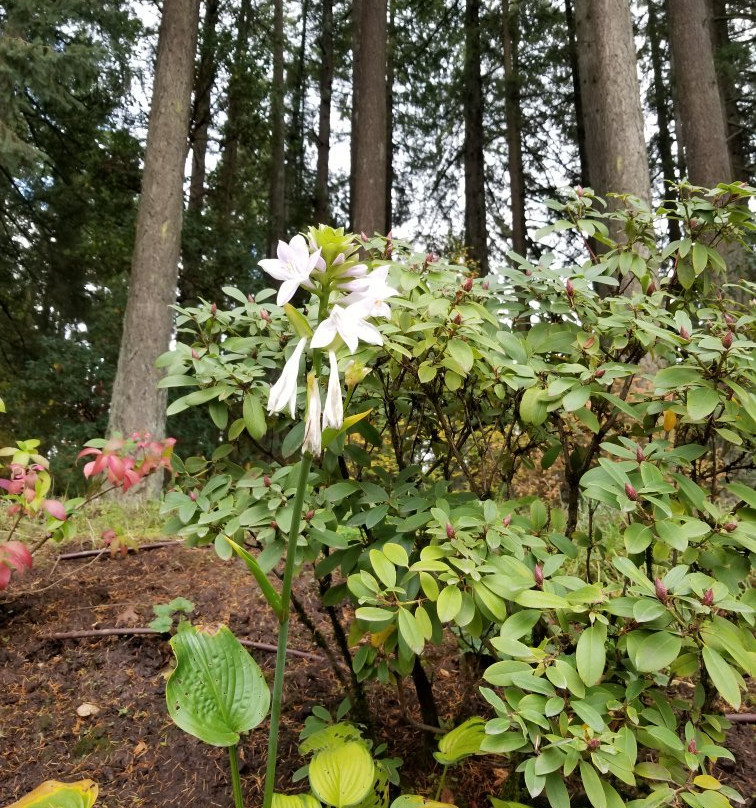 Jenkins Estate-比弗顿必去景点