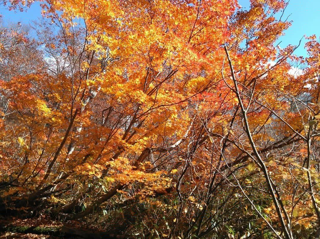 Kamaike Pond景点图片