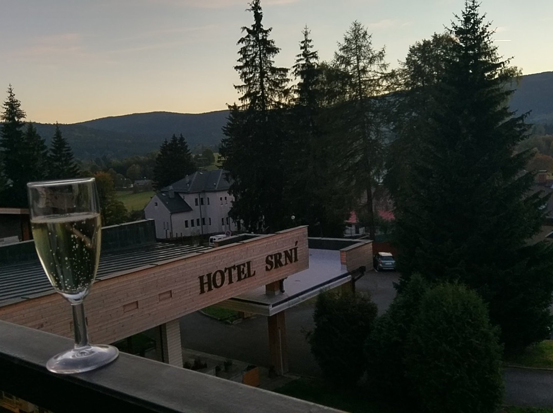 Hotel Srni主图
