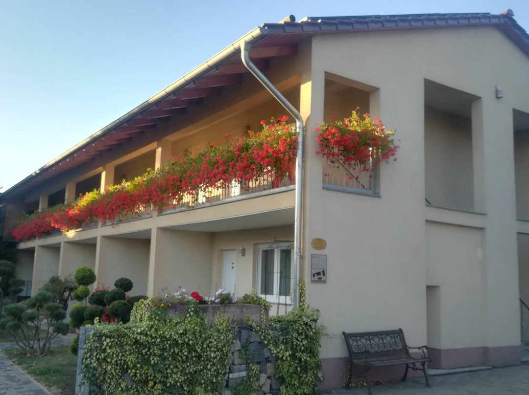 Pension und Gasthof Schondelmaier主图