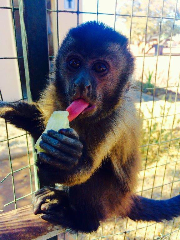 Marakele Animal Sanctuary-塔巴珍比必去景点