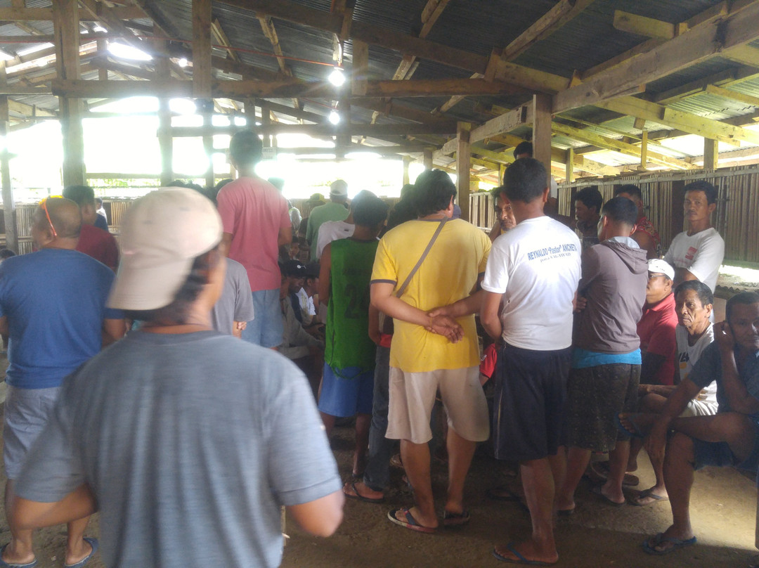 New Naval Gallera-Naval必去景点