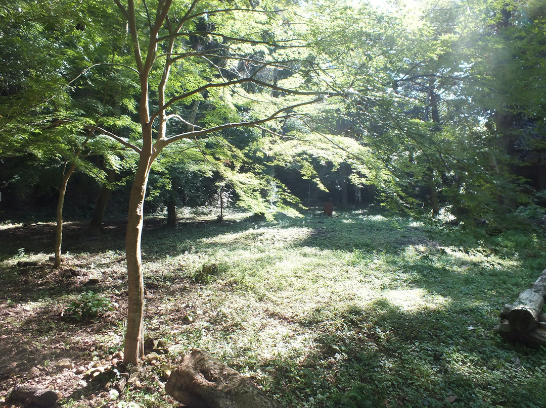Tsumekiri Fudoson景点图片