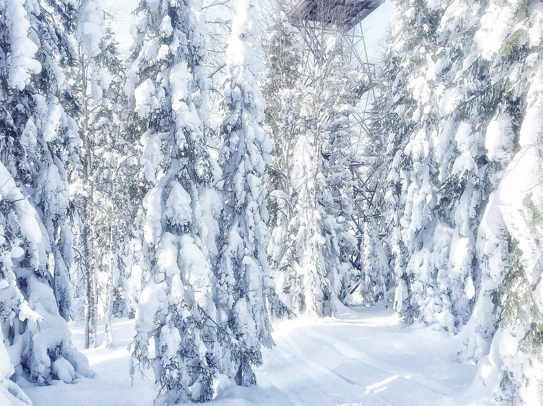 Sweden Adventure tours-Hammarstrand必去景点