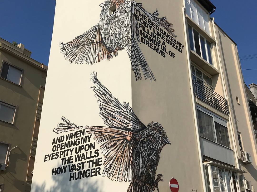 Street Up - Belgrade Street Art Tours-贝尔格莱德必去景点