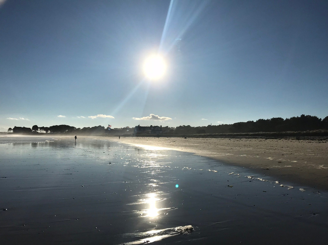 Shorelands Guest Resort主图