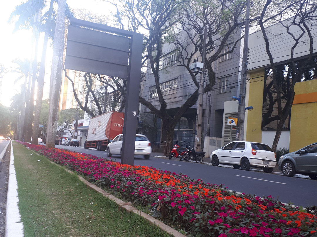 Parque Florestal dos Pioneiros-Maringa必去景点