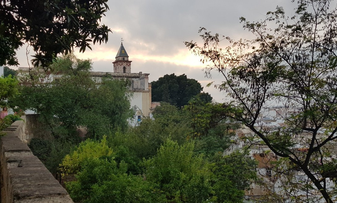 Palacio de Medina Sidonia景点图片