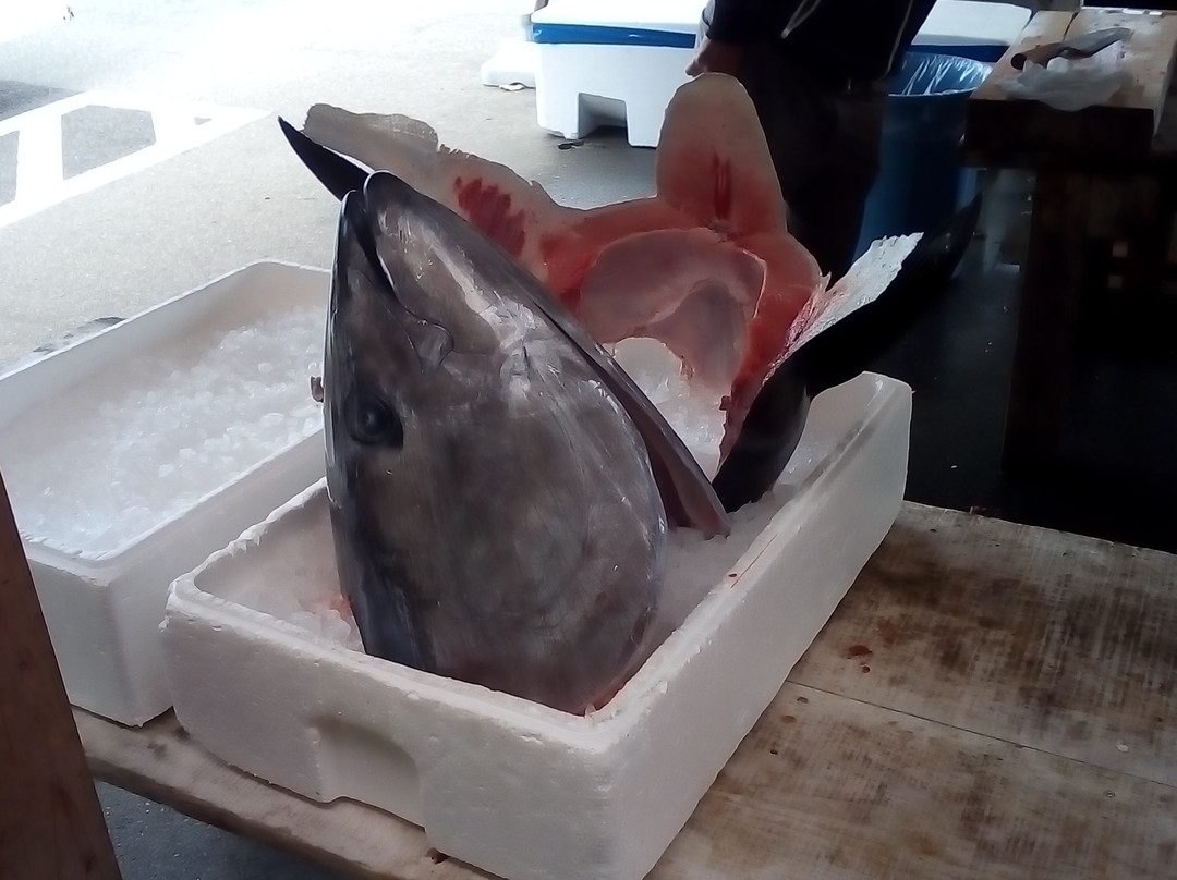 Michi-no-Eki Takarajima-松浦市必去景点