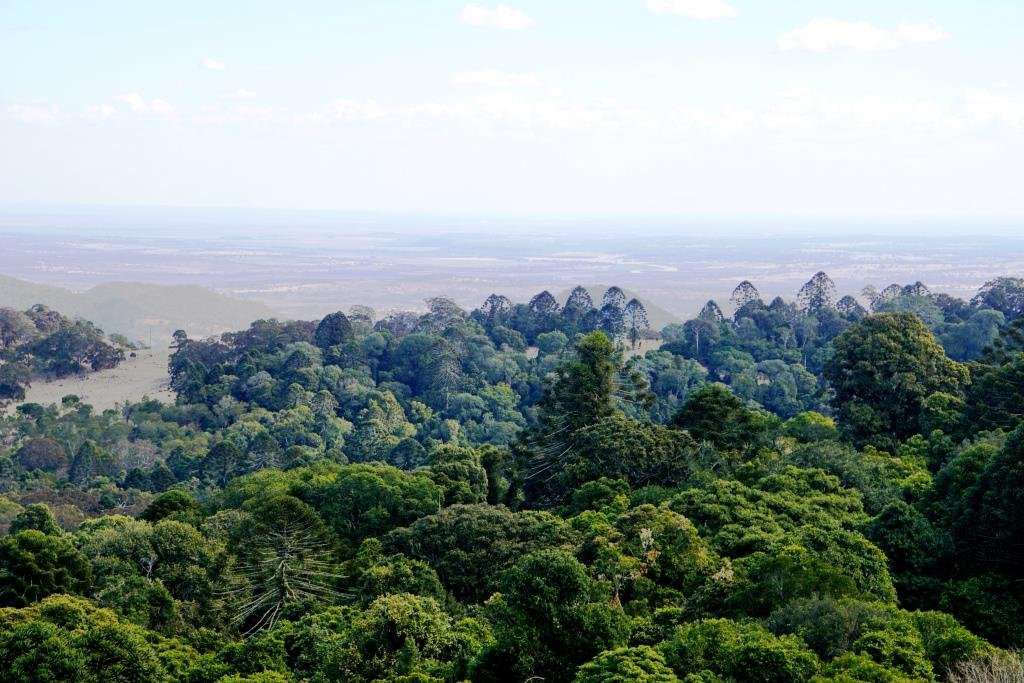 Bunya Mountains National Park景点图片