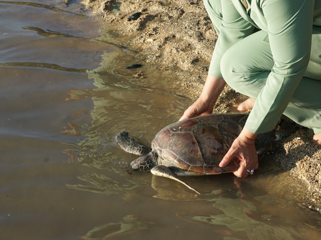 Sunari Beach Resort主图