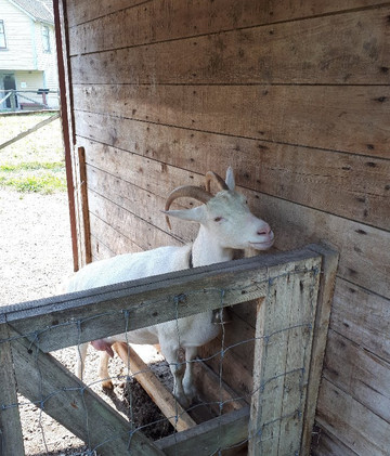 Kilby Historic Site-Harrison Mills必去景点