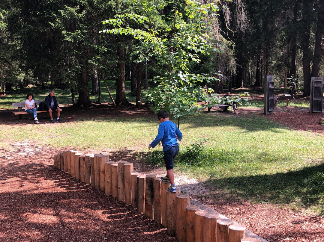 Parco Giochi "Mondo Magico della Foresta"景点图片