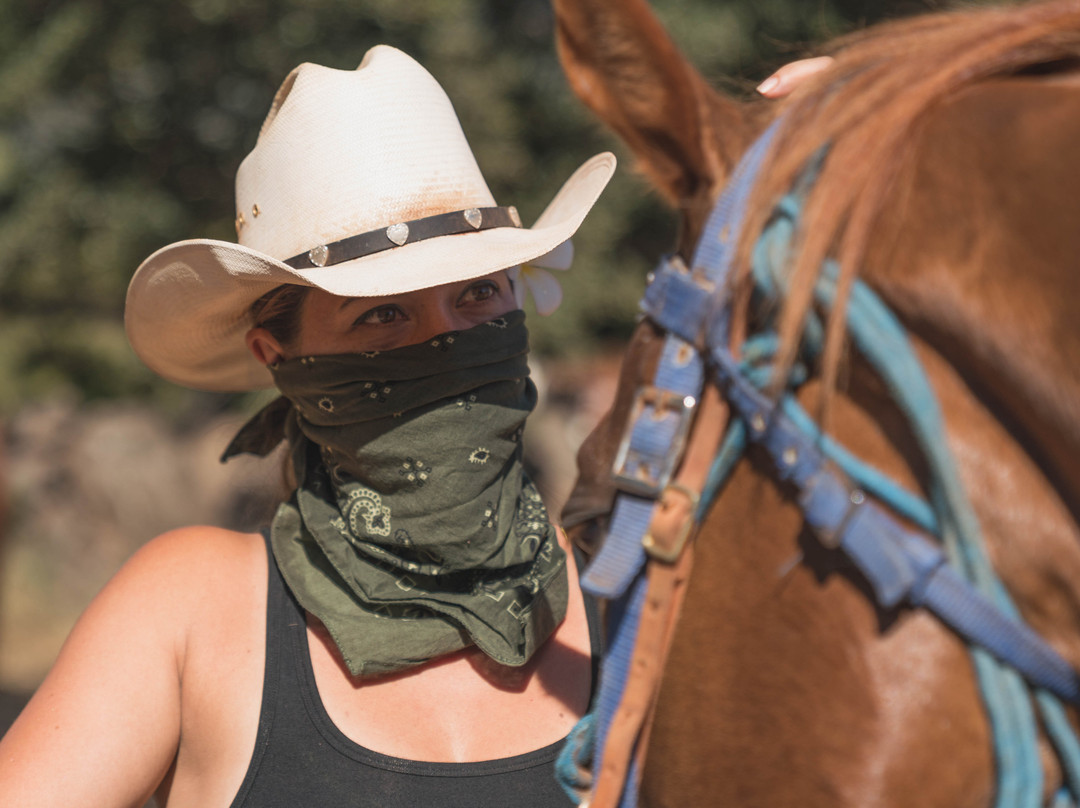 Ohikilolo-怀厄奈必去景点