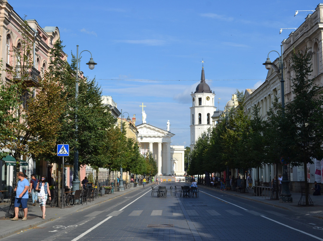 Gediminas Avenue景点图片