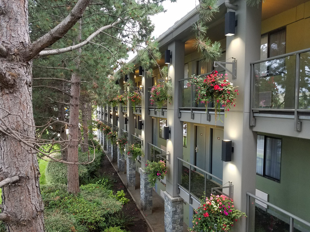 Accent Inns Victoria主图