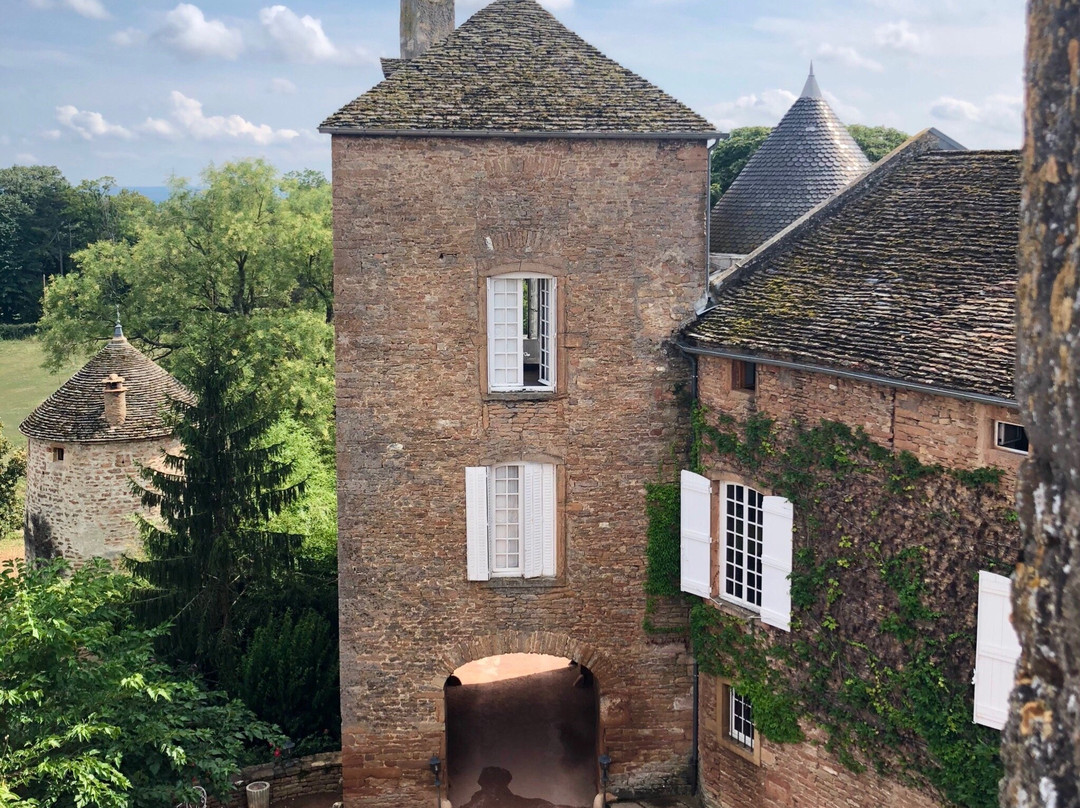 Chateau de Salornay景点图片