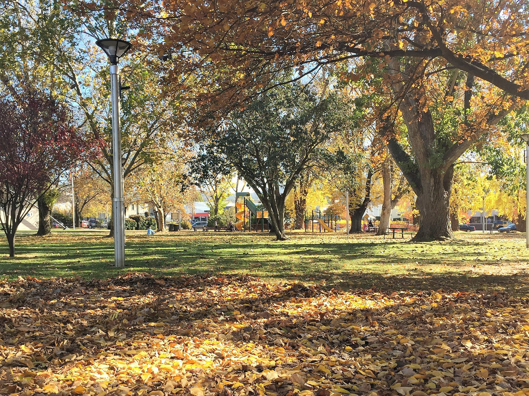 Centennial Park景点图片