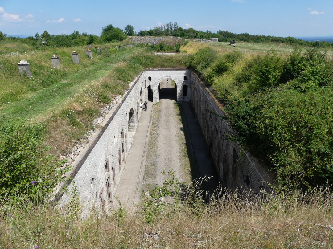 Fort du Mont-Vaudois景点图片