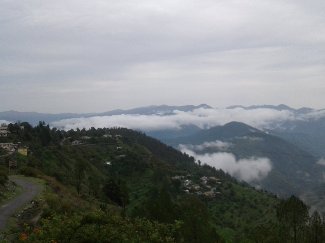 Green Pigeon Cafe And Luxury Home Stay主图