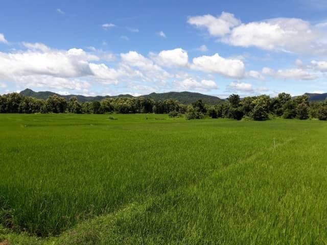 Harmony Tree Therapeutic Massage & Day Spa-Weston必去景点