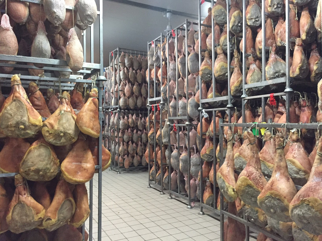 Maranello Tour-马拉内罗必去景点