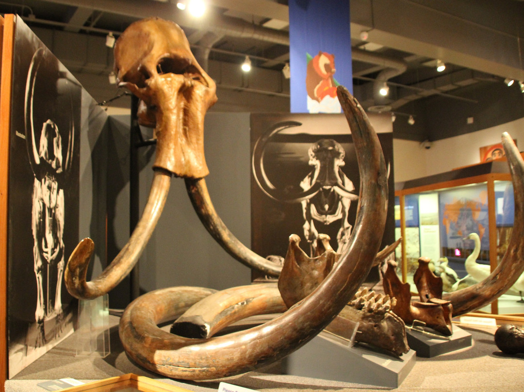 Fairbanks City Tour - Tours景点图片