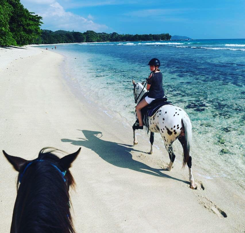 Turquoise Horse Trails景点图片